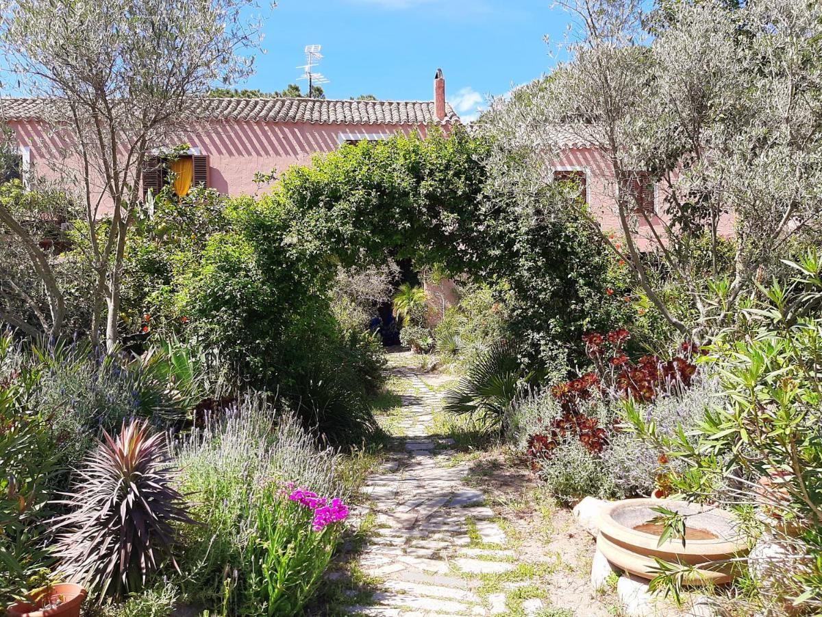 La Fattoria Delle Tartarughe Villa San Gregorio  Екстериор снимка