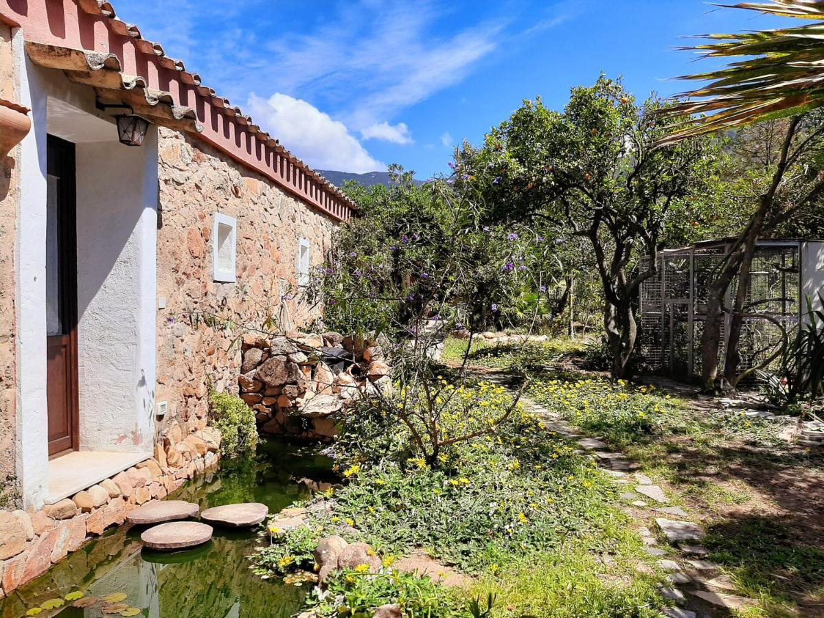 La Fattoria Delle Tartarughe Villa San Gregorio  Екстериор снимка