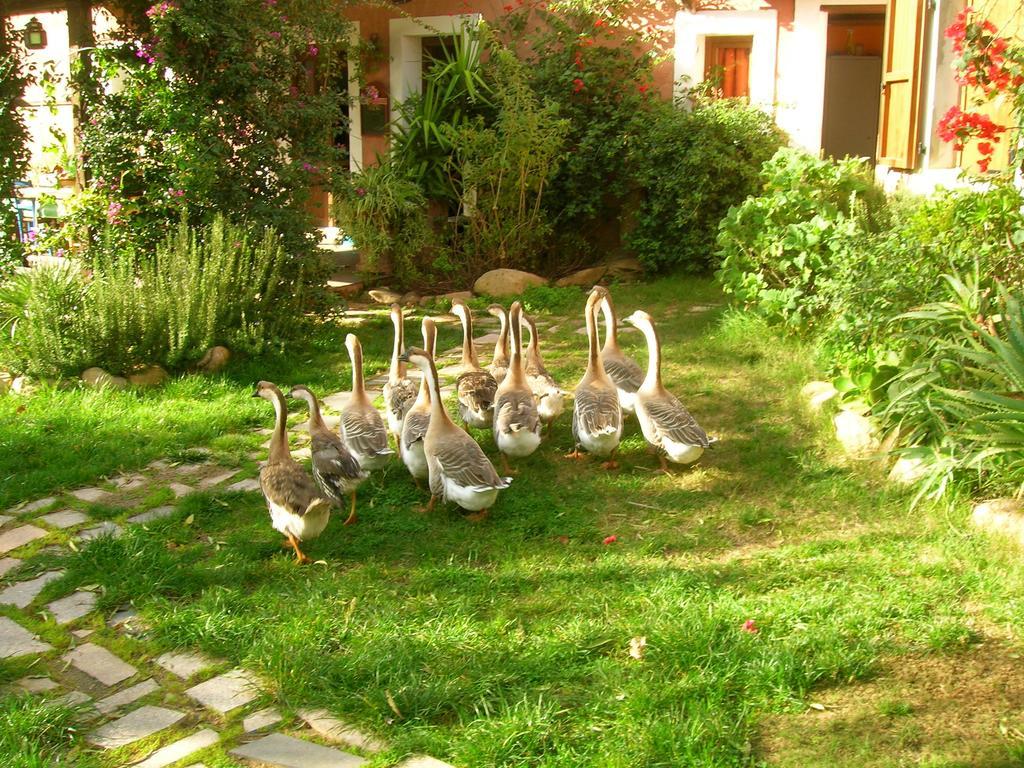 La Fattoria Delle Tartarughe Villa San Gregorio  Екстериор снимка