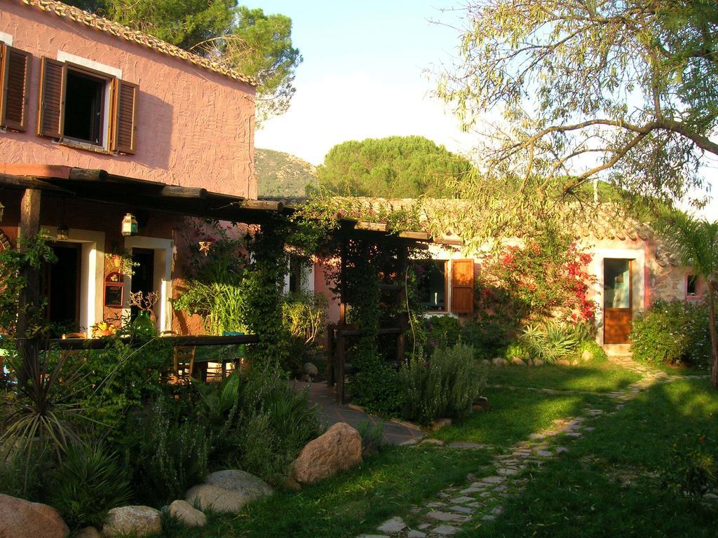 La Fattoria Delle Tartarughe Villa San Gregorio  Екстериор снимка