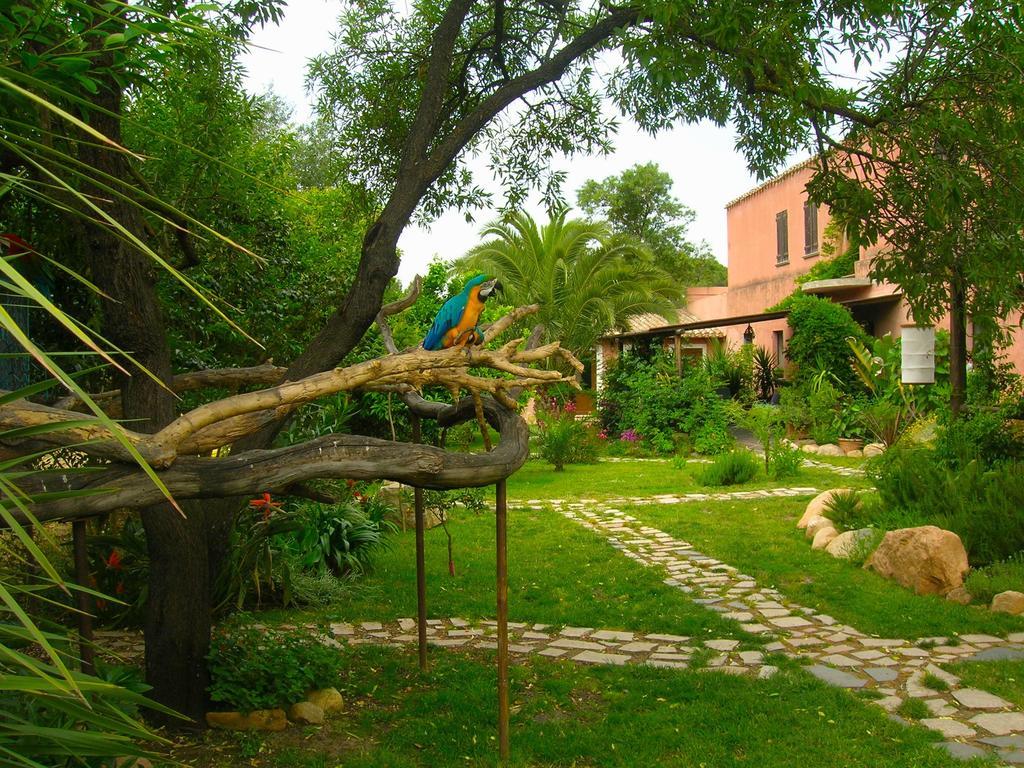 La Fattoria Delle Tartarughe Villa San Gregorio  Екстериор снимка