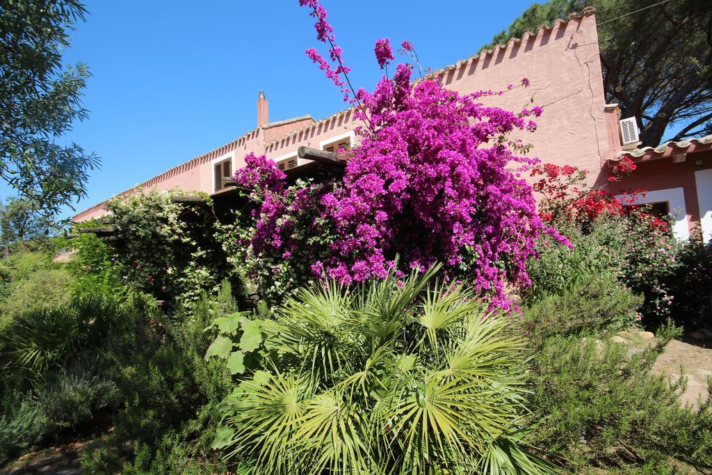 La Fattoria Delle Tartarughe Villa San Gregorio  Екстериор снимка