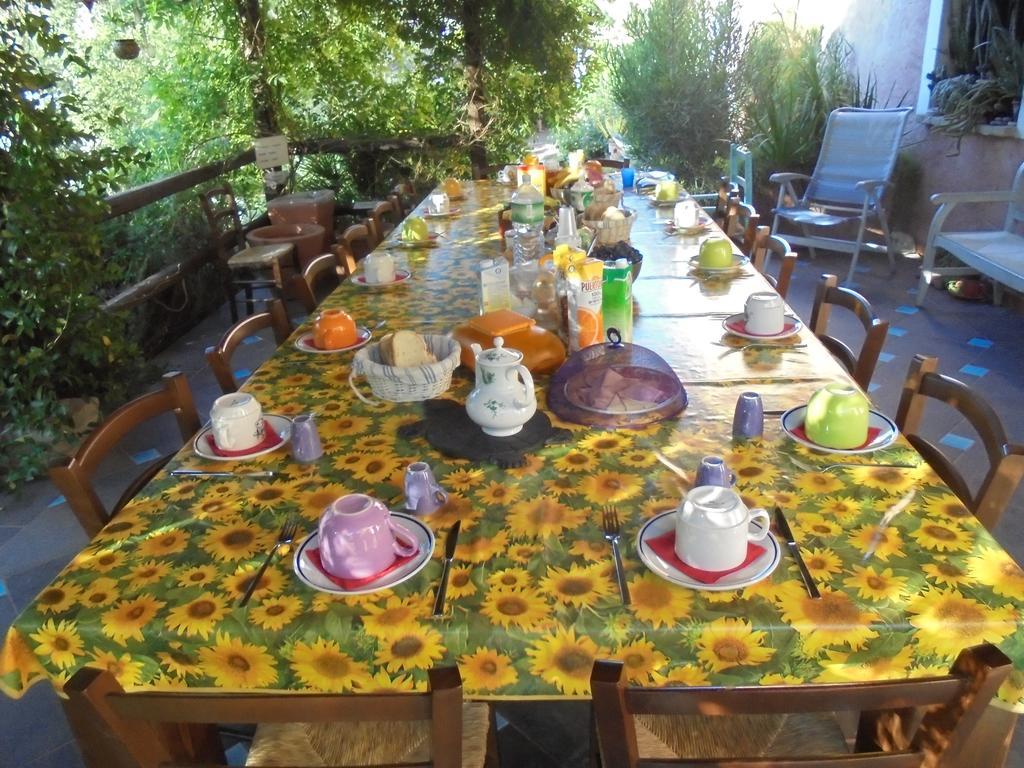 La Fattoria Delle Tartarughe Villa San Gregorio  Екстериор снимка