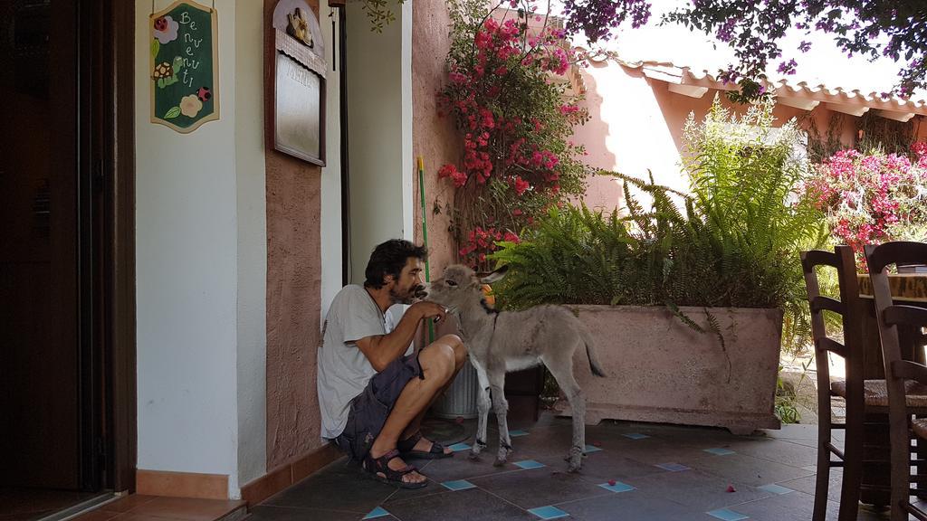 La Fattoria Delle Tartarughe Villa San Gregorio  Екстериор снимка